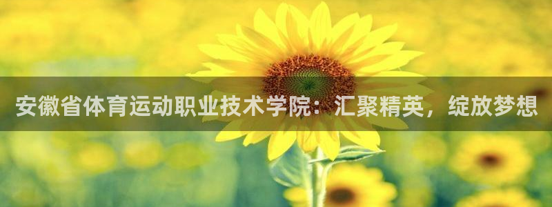 678体育官网地址：安徽省体育运动职业技术学院：汇聚精英，绽放梦想