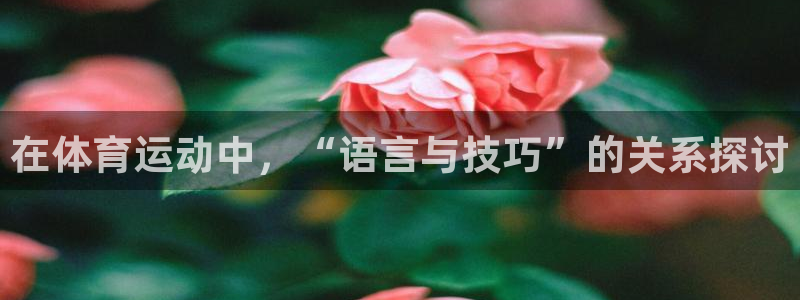 678体育官网下载：在体育运动中，“语言与技巧”的关系探讨