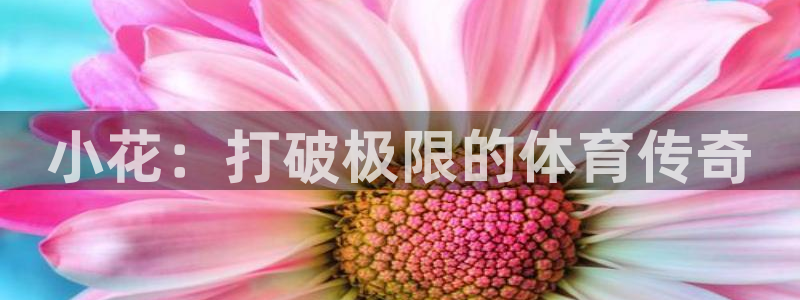 678体育