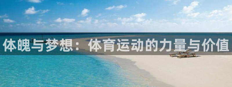 678体育官网