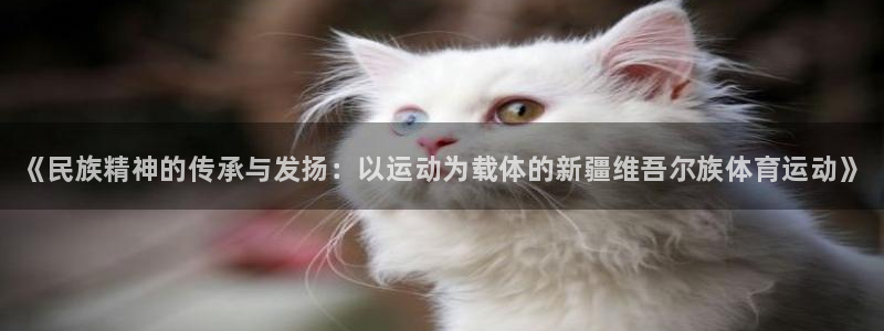 678体育知识：《民族精神的传承与发扬：以运动为载体的新疆维吾尔族体育运动》