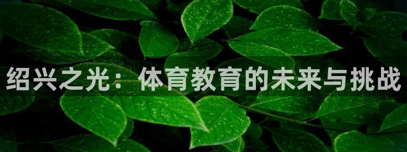 678体育知识：绍兴之光：体育教育的未来与挑战