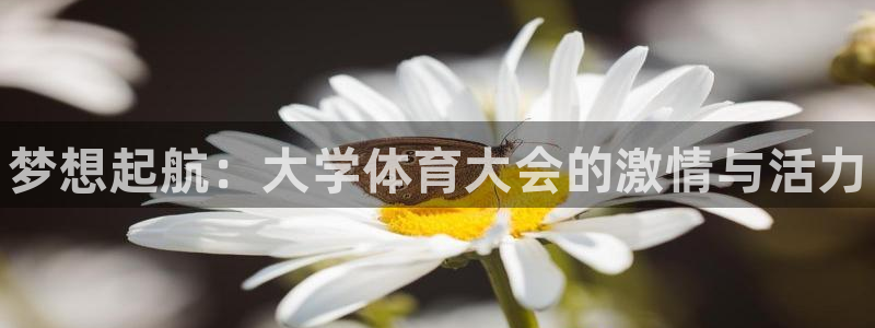 678体育app：梦想起航：大学体育大会的激情与活力