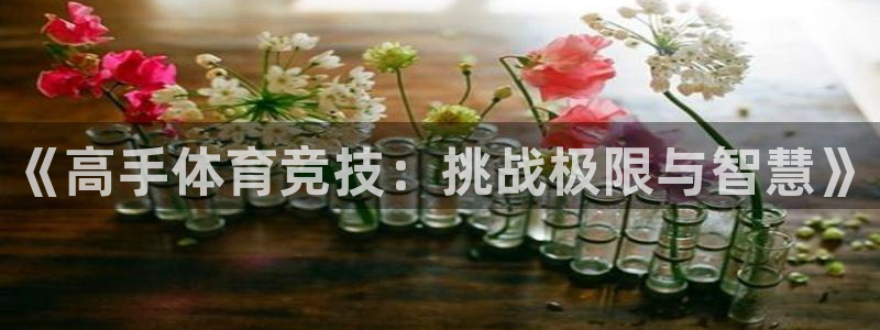 678体育app：《高手体育竞技：挑战极限与智慧》