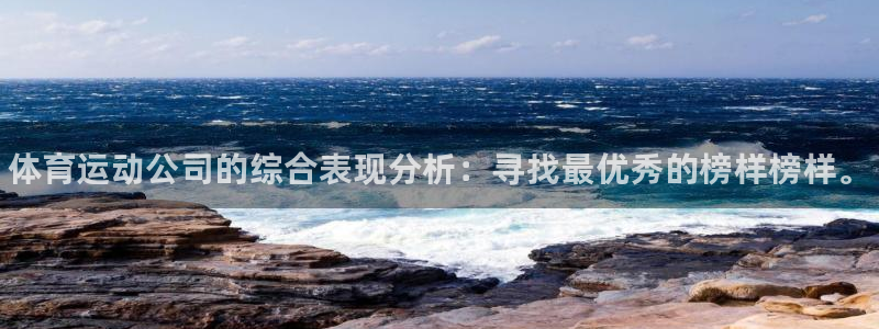 皇冠678体育：体育运动公司的综合表现分析：寻找最优秀的榜样榜样。