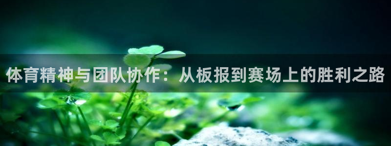 678体育知识：体育精神与团队协作：从板报到赛场上的胜利之路