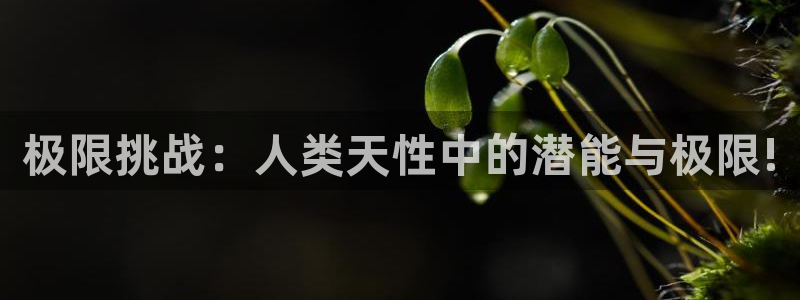 678体育：极限挑战：人类天性中的潜能与极限!