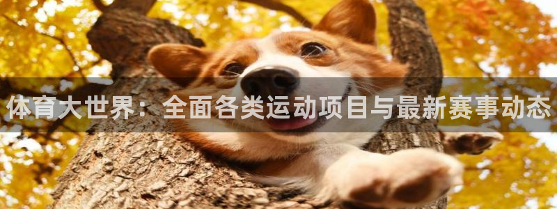 678体育官网下载：体育大世界：全面各类运动项目与最新赛事动态