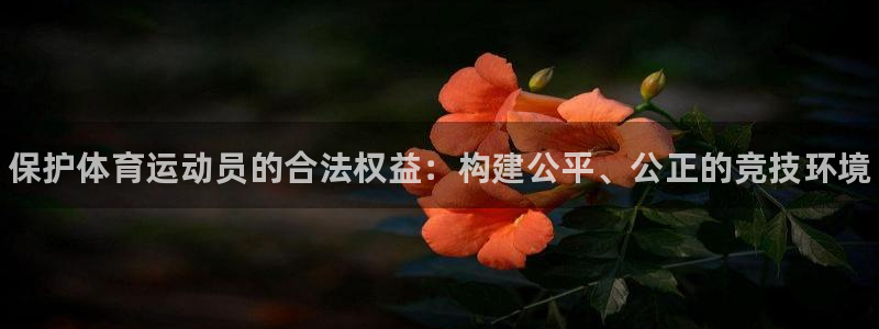 678体育官网：保护体育运动员的合法权益：构建公平、公正的竞技环境