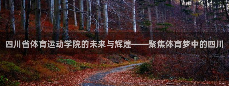 678体育官网下载：四川省体育运动学院的未来与辉煌——聚焦体育梦中的四川