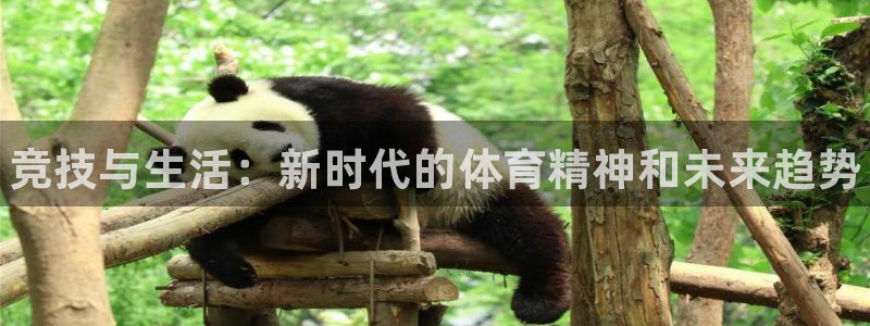 678体育官网下载：竞技与生活：新时代的体育精神和未来趋势