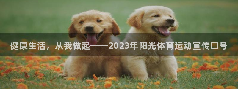 678体育：健康生活，从我做起——2023年阳光体育运动宣传口号
