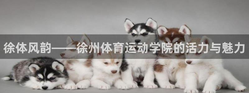 皇冠678体育：徐体风韵——徐州体育运动学院的活力与魅力