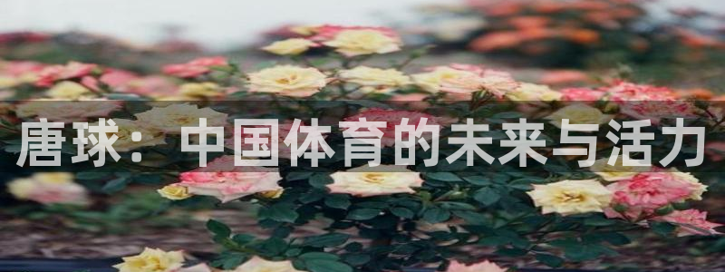 678体育app