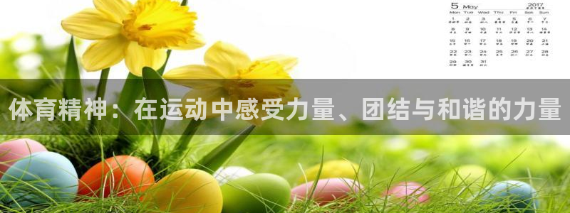 678体育知识