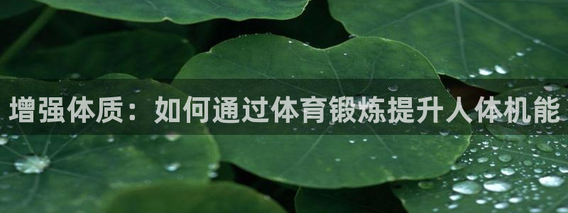 678体育知识