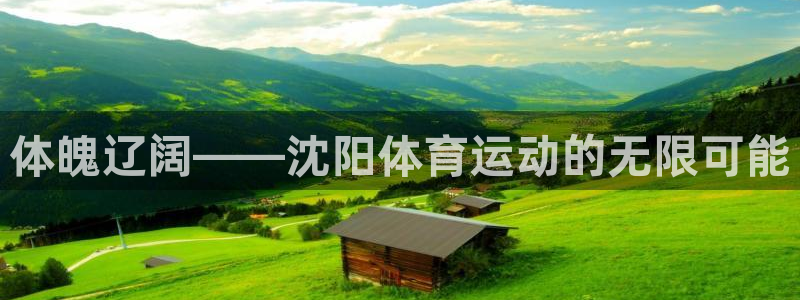 678体育官网