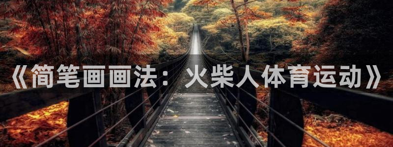 678体育官网