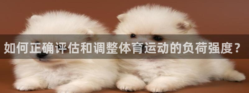 678体育app