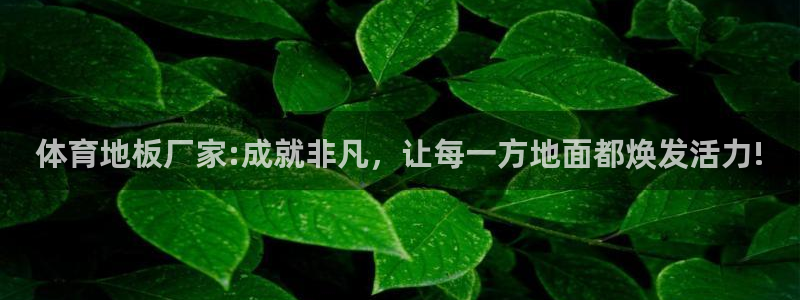 678体育官网下载