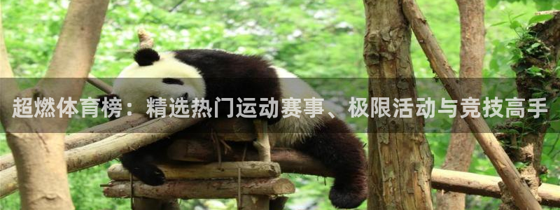678体育官网地址：超燃体育榜：精选热门运动赛事、极限活动与竞技高手