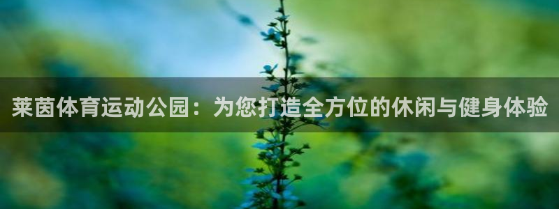 皇冠678体育：莱茵体育运动公园：为您打造全方位的休闲与健身体验