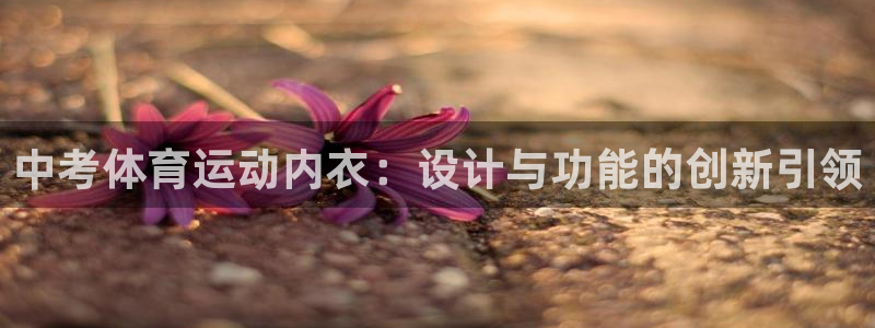 678体育：中考体育运动内衣：设计与功能的创新引领